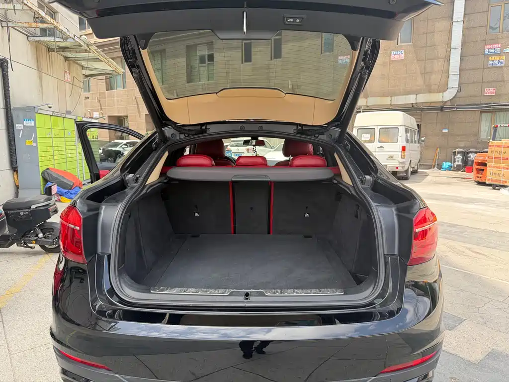 BMW X6 xDrive35 i Leading