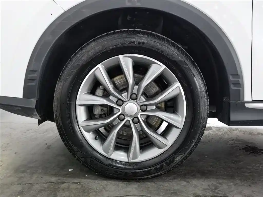 Roewe RX5 330 TGI Auto China Style