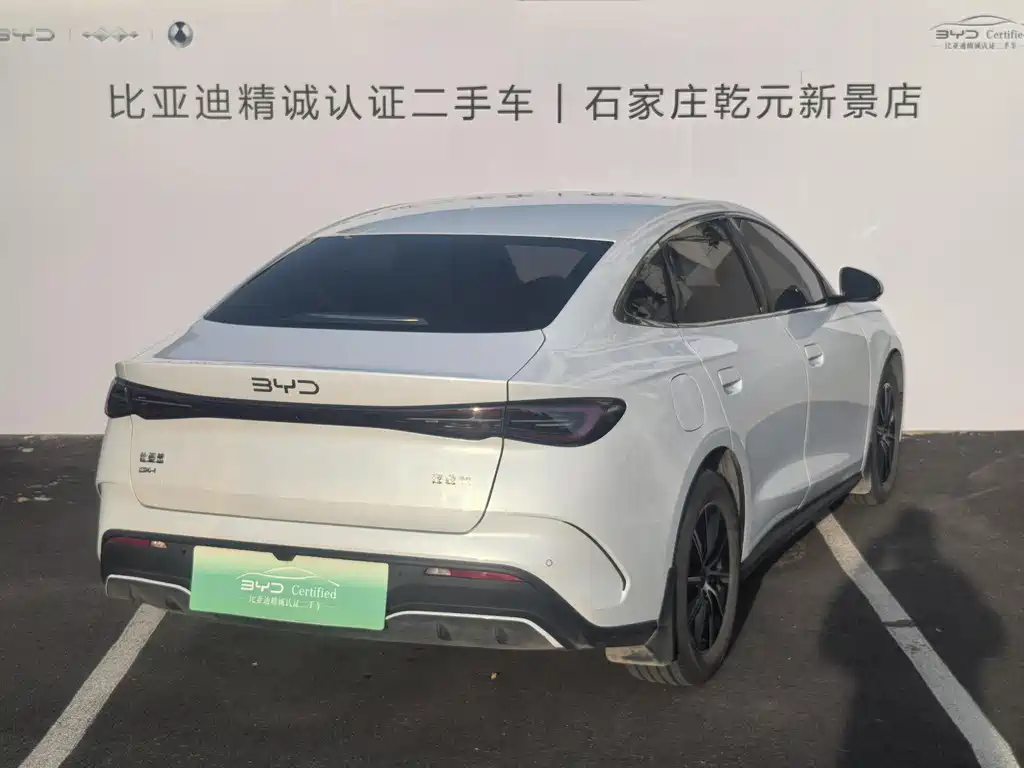 Seal 06 DM-i 80 KM Distinguished
