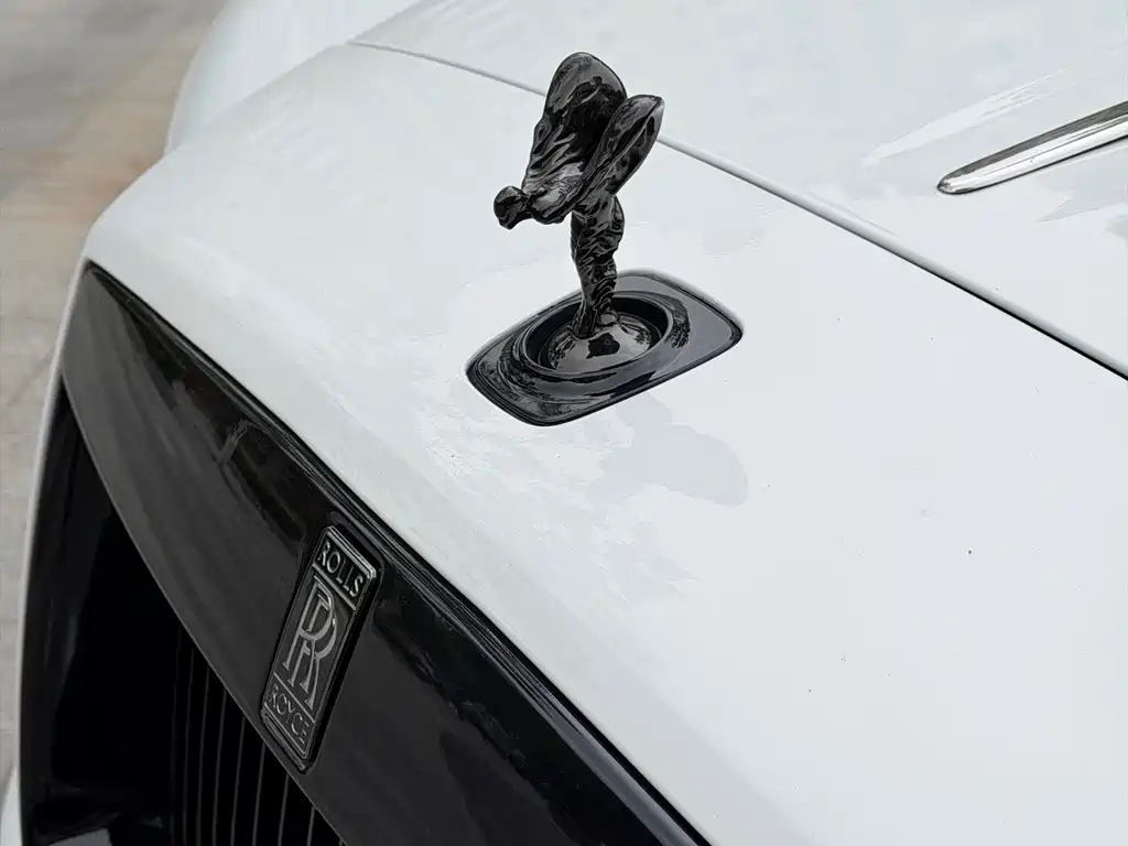 Wraith 6.6 T Standard