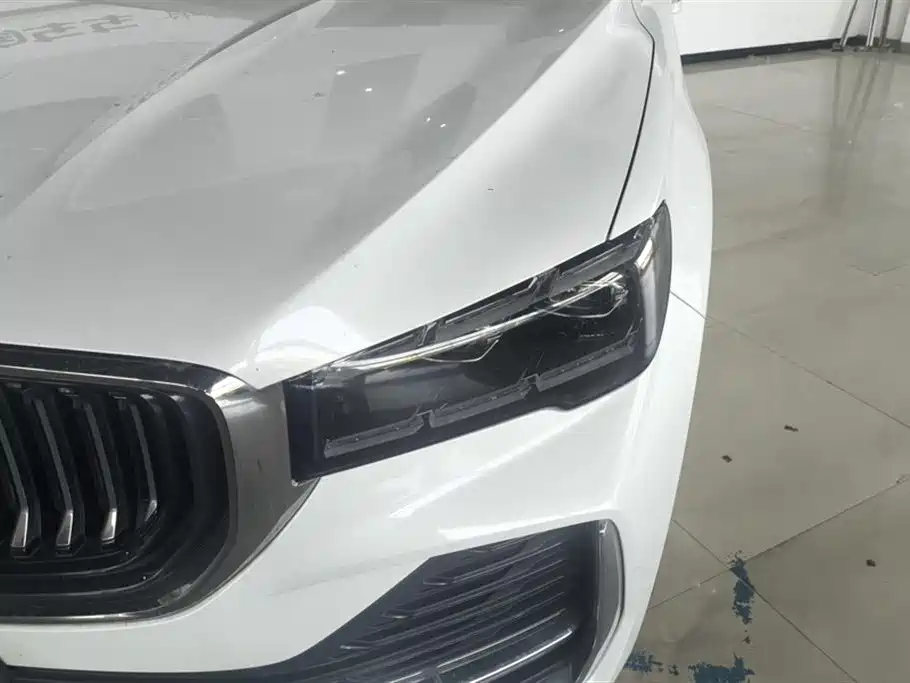 Xingyue L 2.0 TD High Power Auto 4 WD Distinguished