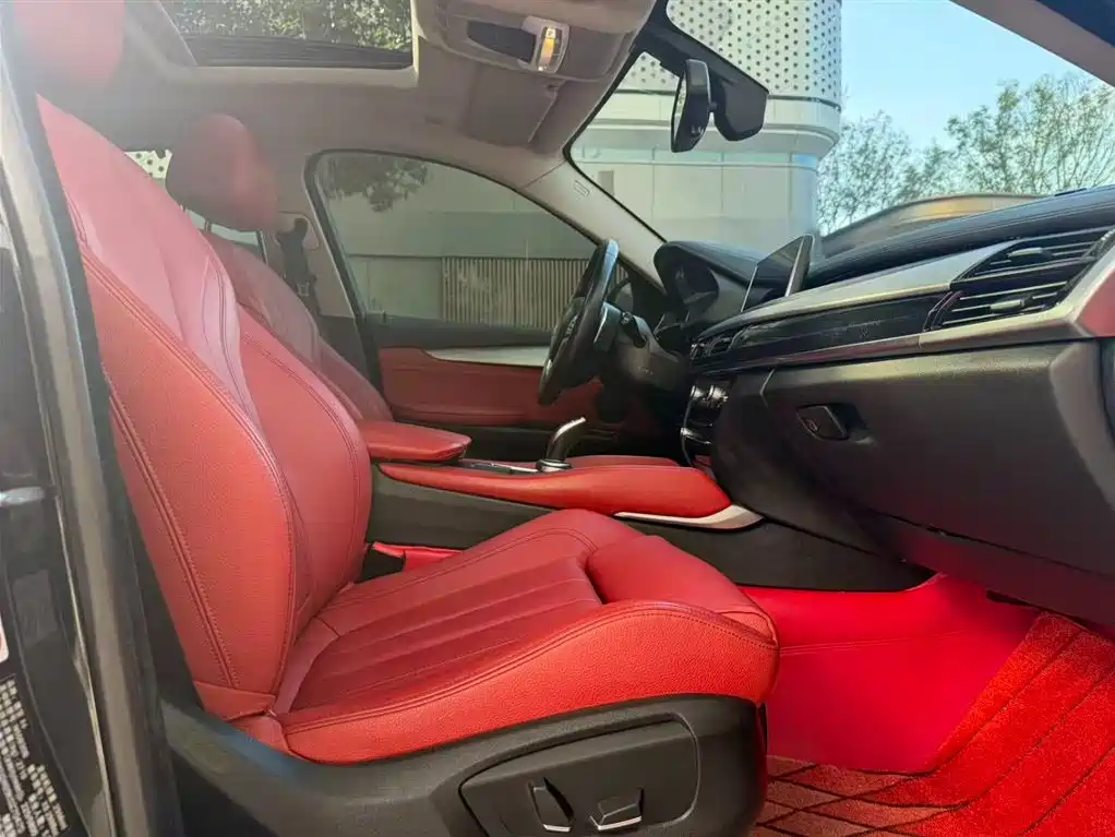 BMW X6 xDrive35 i Leading