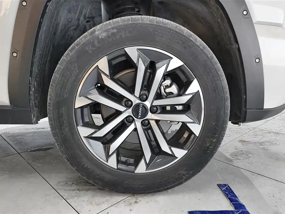 Haval Dargo PLUS 2.0 T 4 WD Trend Wild Plus