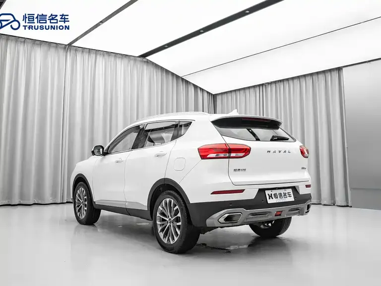 Haval H6 1.5 GDIT Auto Platinum Luxury