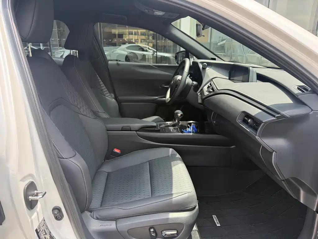 Lexus UX 260 h · CN-V