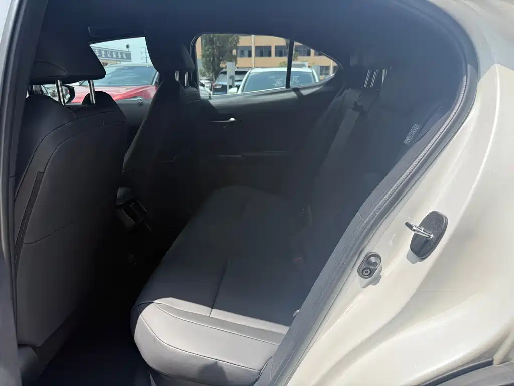 Lexus UX 260 h · CN-V