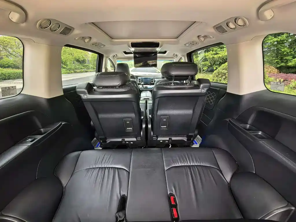 Elysion 2.0 L Hybrid Luxury