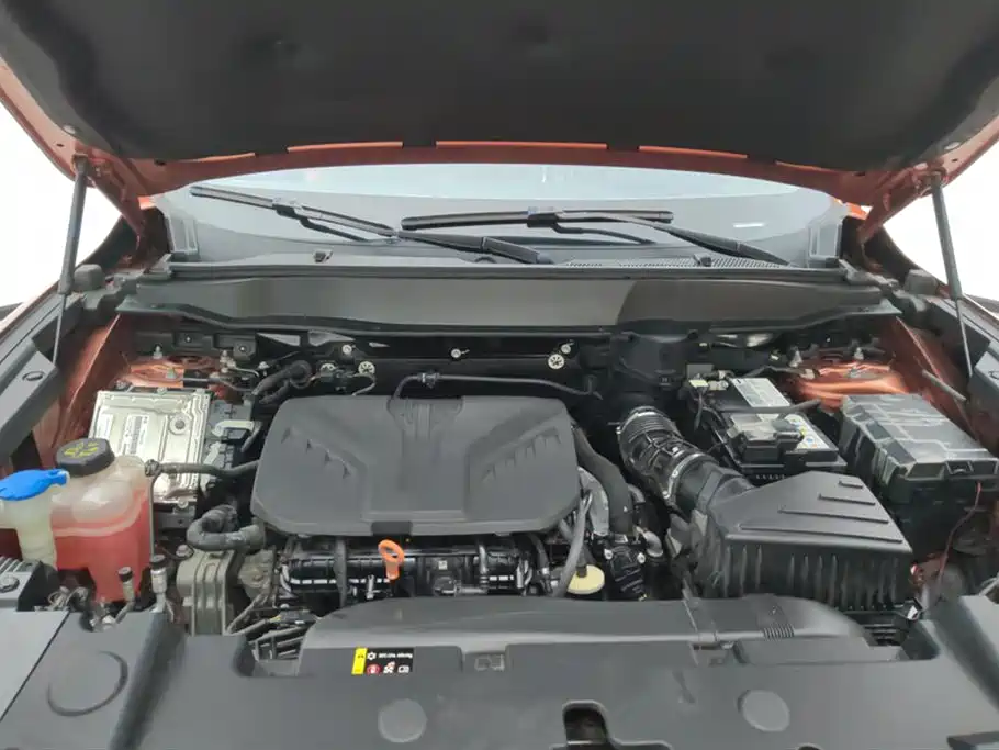 Haval Dargo 2.0 T DCT 4 WD Howling Dog