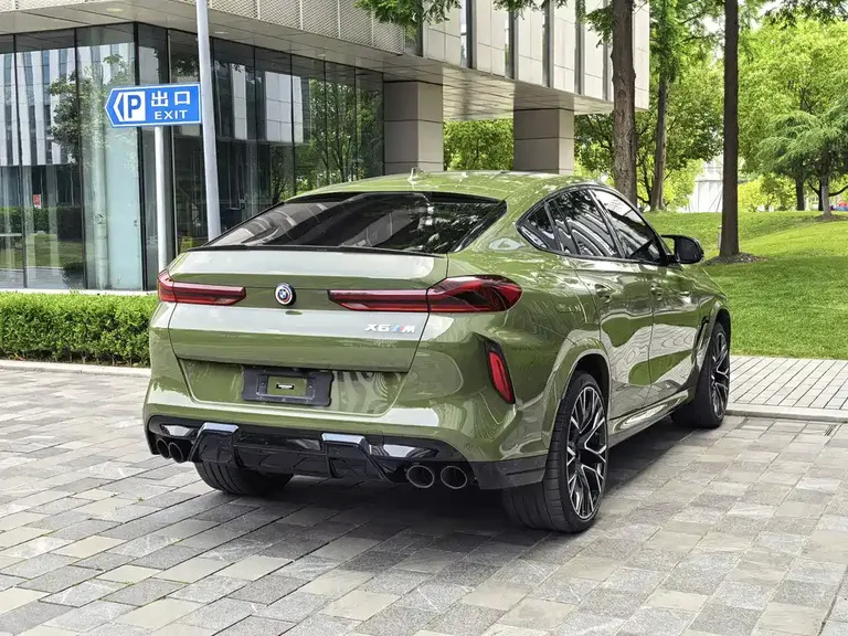 BMW X6 M