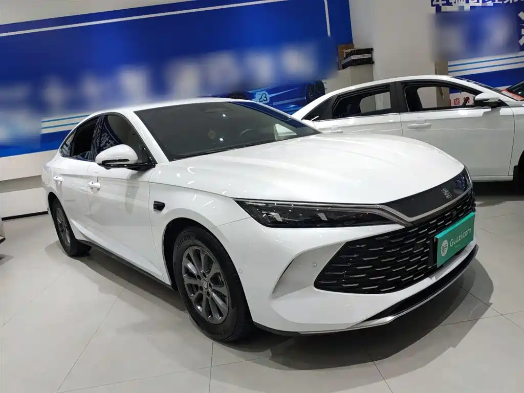 Qin L DM-i Smart Drive 80 KM Leading