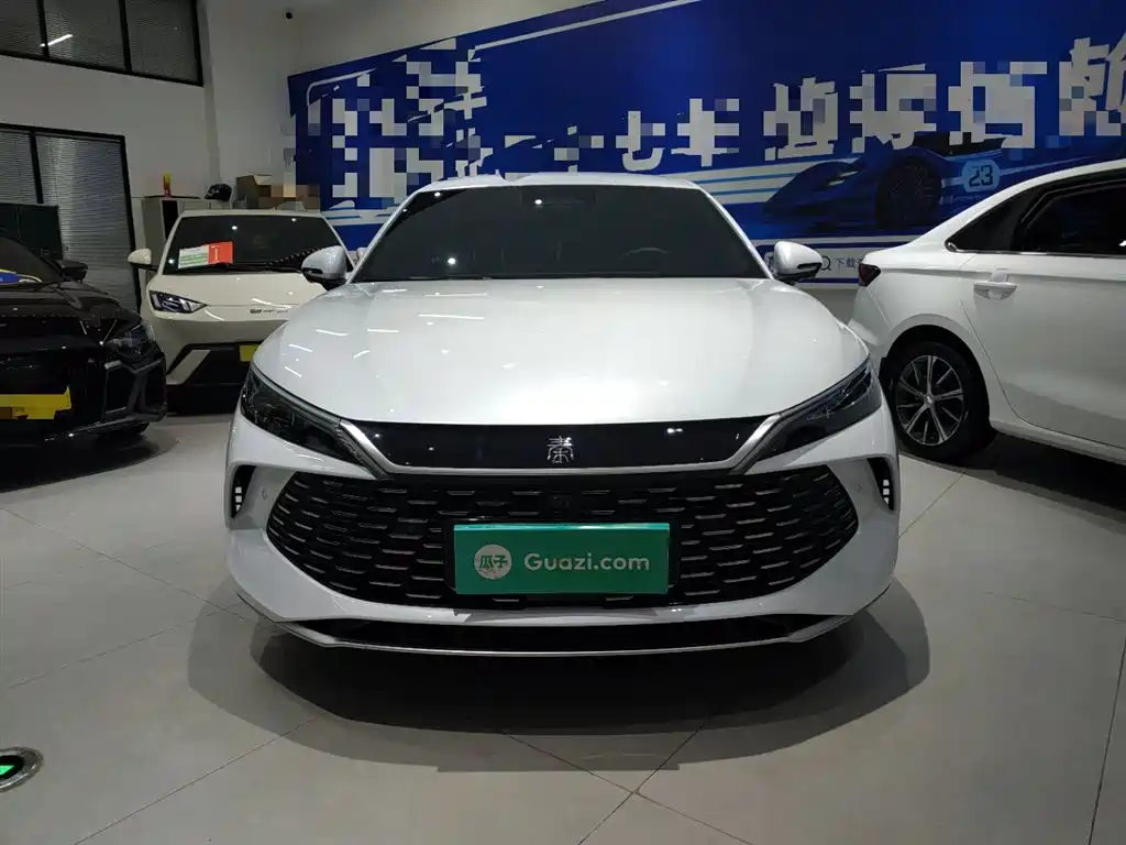 Qin L DM-i Smart Drive 80 KM Leading
