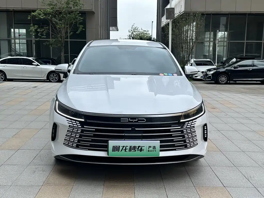 Destroyer 05 Champion DM-i 55 KM Luxury