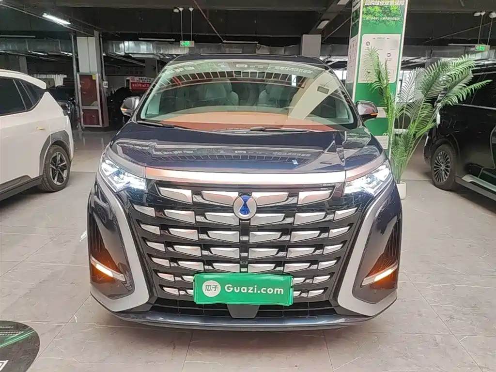 Denza D9 DM-i 970 4 WD Honored