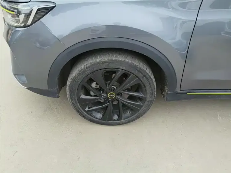 Roewe RX5 NEV ePLUS China Style Honor Qilin Luxury