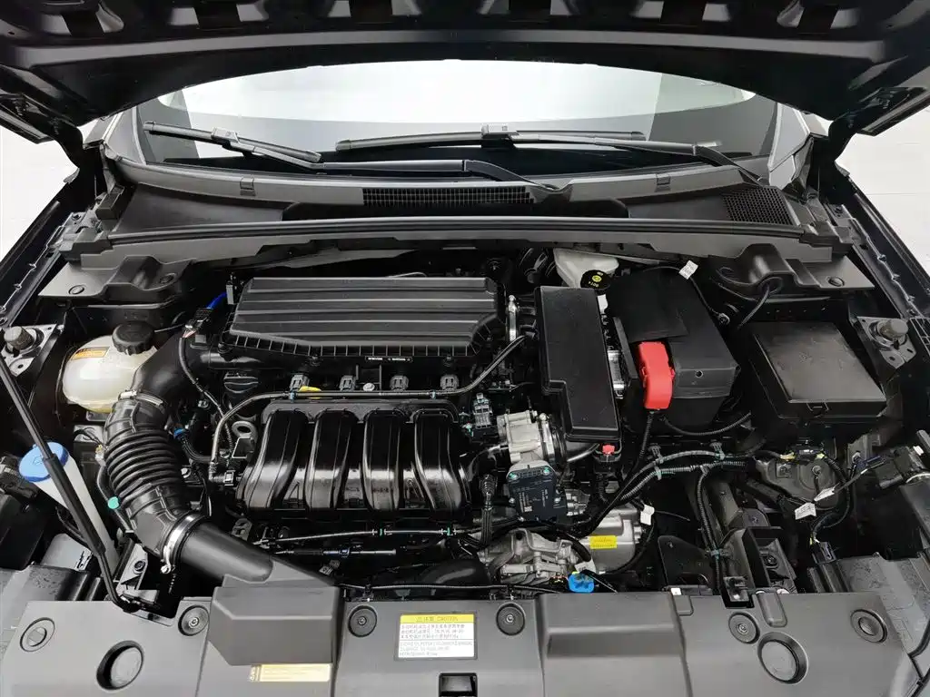 Yixuan 1.5 L Auto Luxury