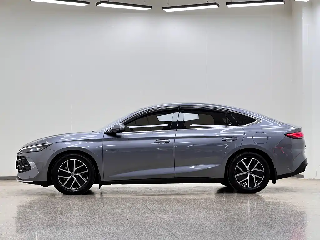 Qin L DM-i 80 KM Transcend