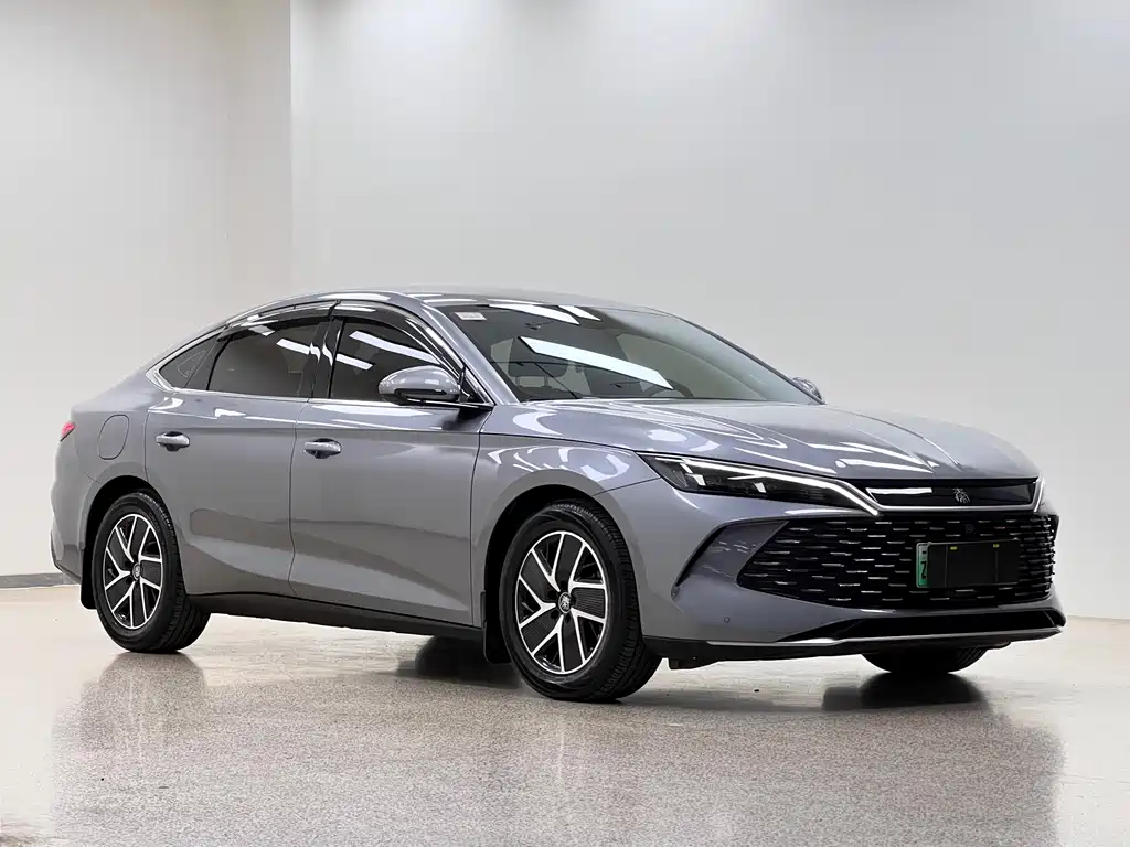 Qin L DM-i 80 KM Transcend