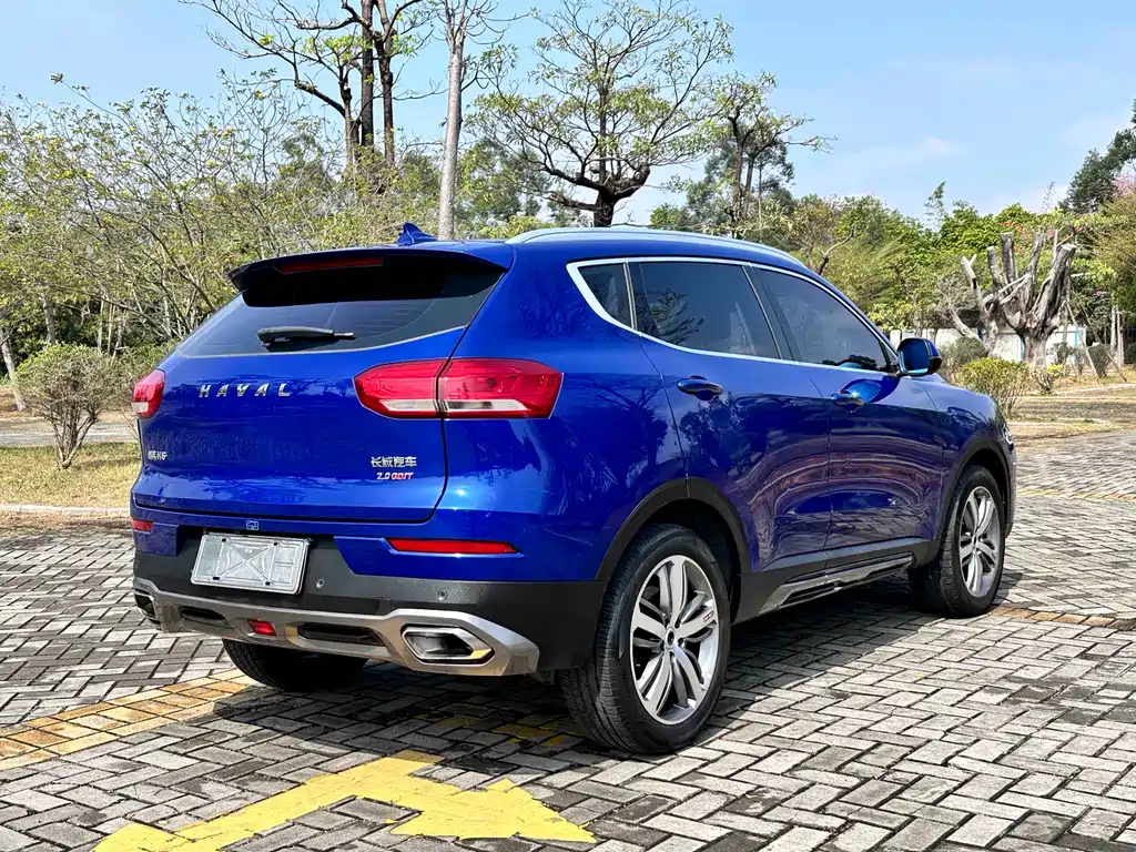 Haval H6 Red Label 2.0 T Auto Luxury