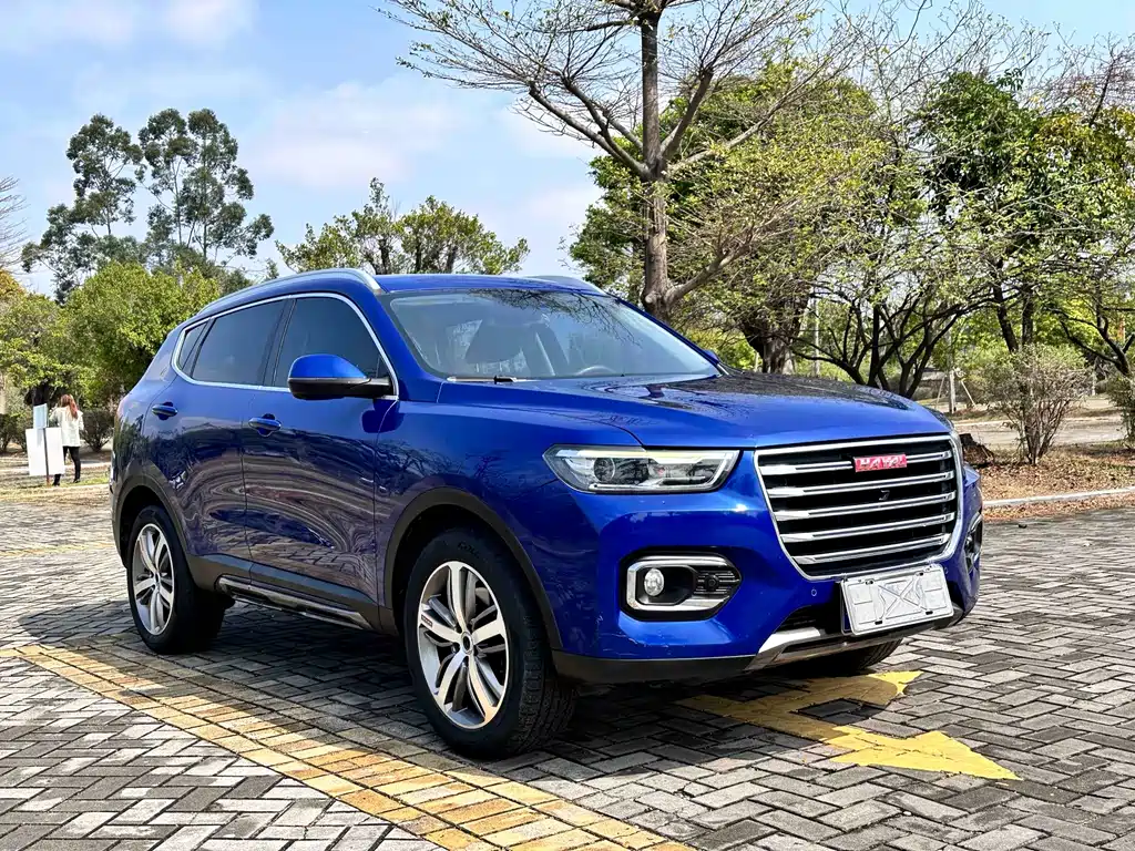 Haval H6 Red Label 2.0 T Auto Luxury