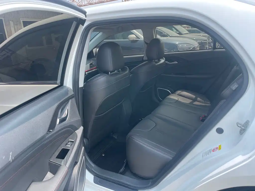 Qin NEV 1.5 T Cool Black Knight Flagship