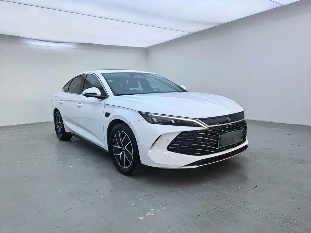 Qin L DM-i Smart Drive 80 KM Transcend