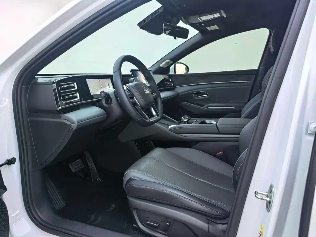 Qin L DM-i Smart Drive 80 KM Transcend