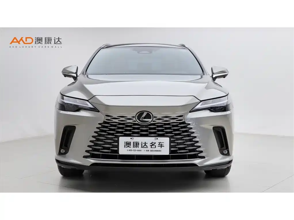Lexus RX 雷克萨斯RX350 h/2.5/23款/两驱舒享版