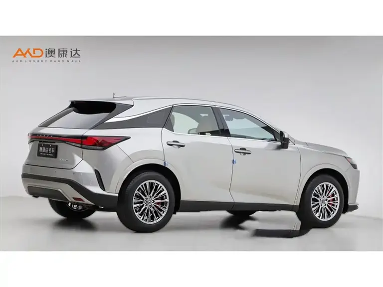 Lexus RX 雷克萨斯RX350 h/2.5/23款/两驱舒享版