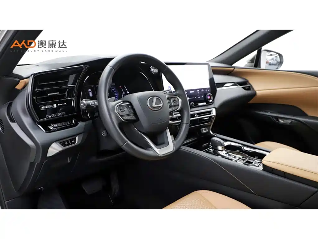 Lexus RX 雷克萨斯RX350 h/2.5/23款/两驱舒享版
