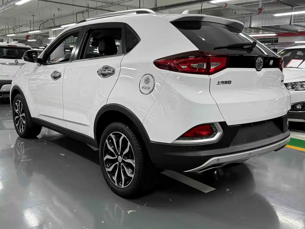 Ruiteng 2.0 TGI TST 4 WD Flagship