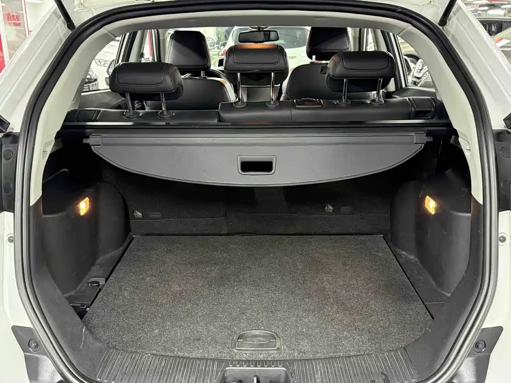 Ruiteng 2.0 TGI TST 4 WD Flagship