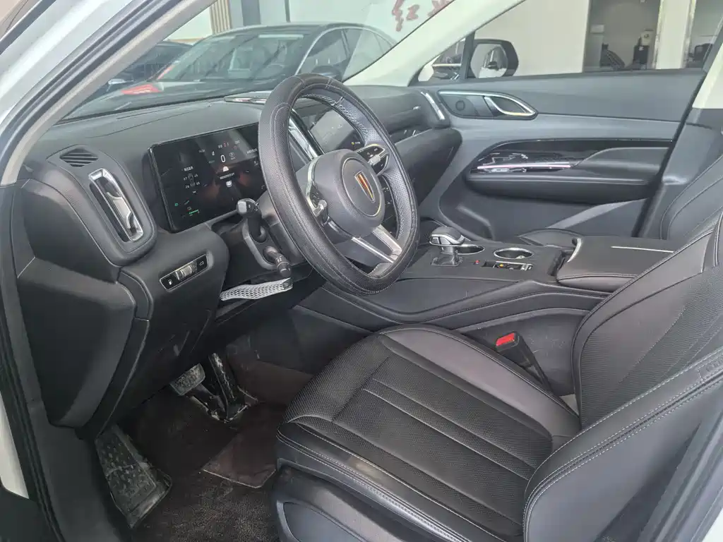 Hongqi HS3 PHEV 117 km Power Action