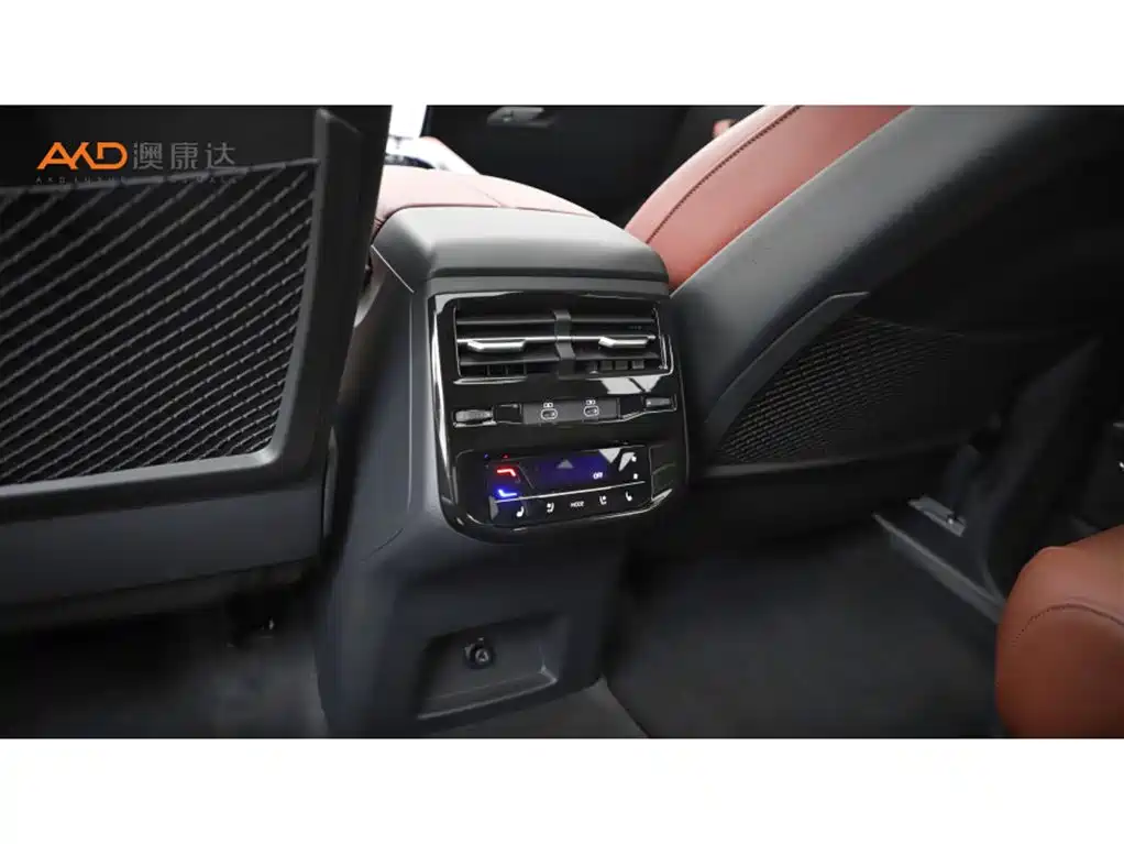 Audi Q6 奥迪Q6/2.0 T/24款/45 TFSI quattro 黑武士版6座