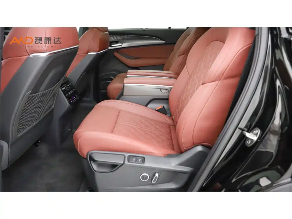 Audi Q6 奥迪Q6/2.0 T/24款/45 TFSI quattro 黑武士版6座