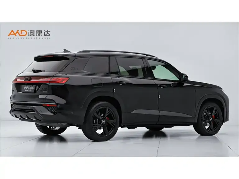 Audi Q6 奥迪Q6/2.0 T/24款/45 TFSI quattro 黑武士版6座