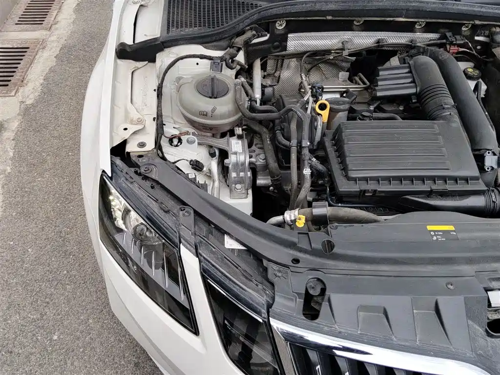 Octavia TSI230 DSG Luxury