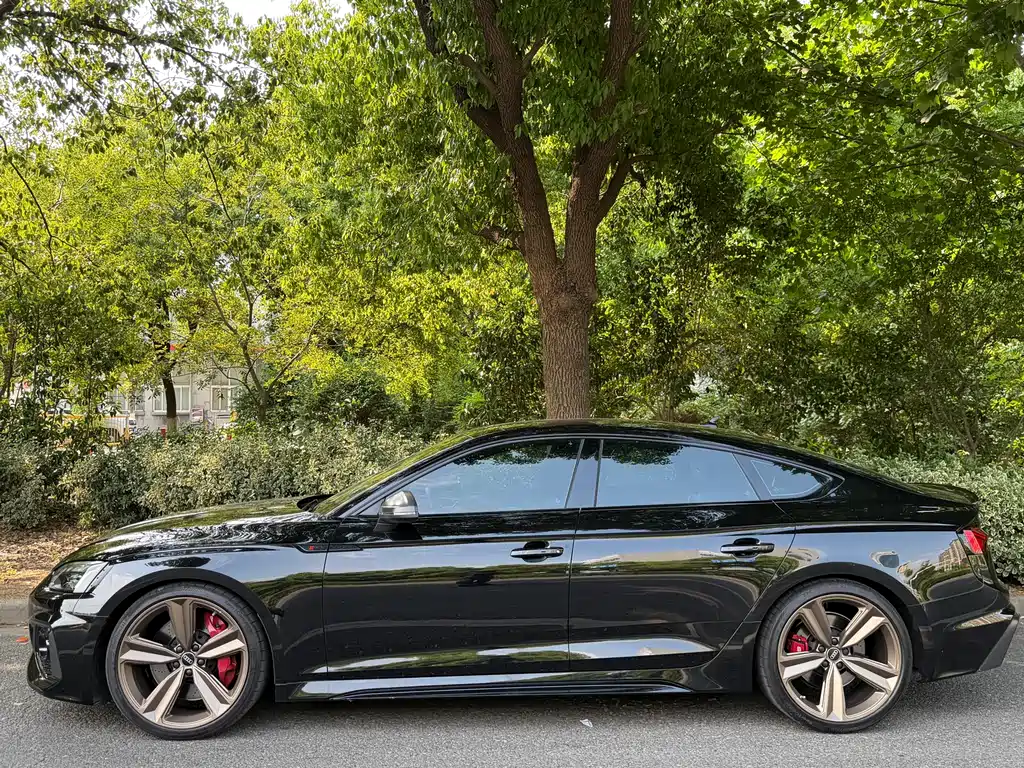 Audi RS 5 RS 5 2.9 T Sportback Dark Gold