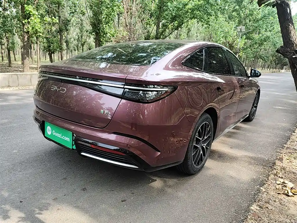 Seal DM-i 1.5 L 121 km Luxury