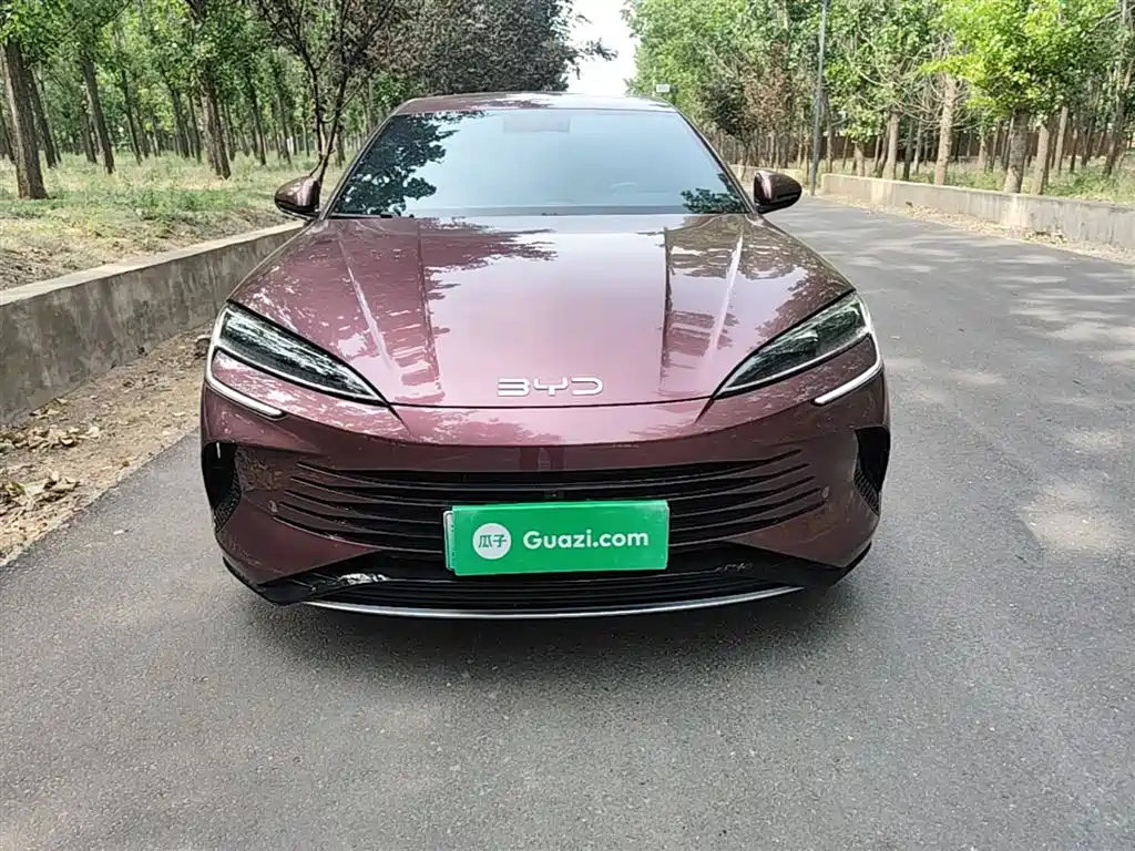 Seal DM-i 1.5 L 121 km Luxury