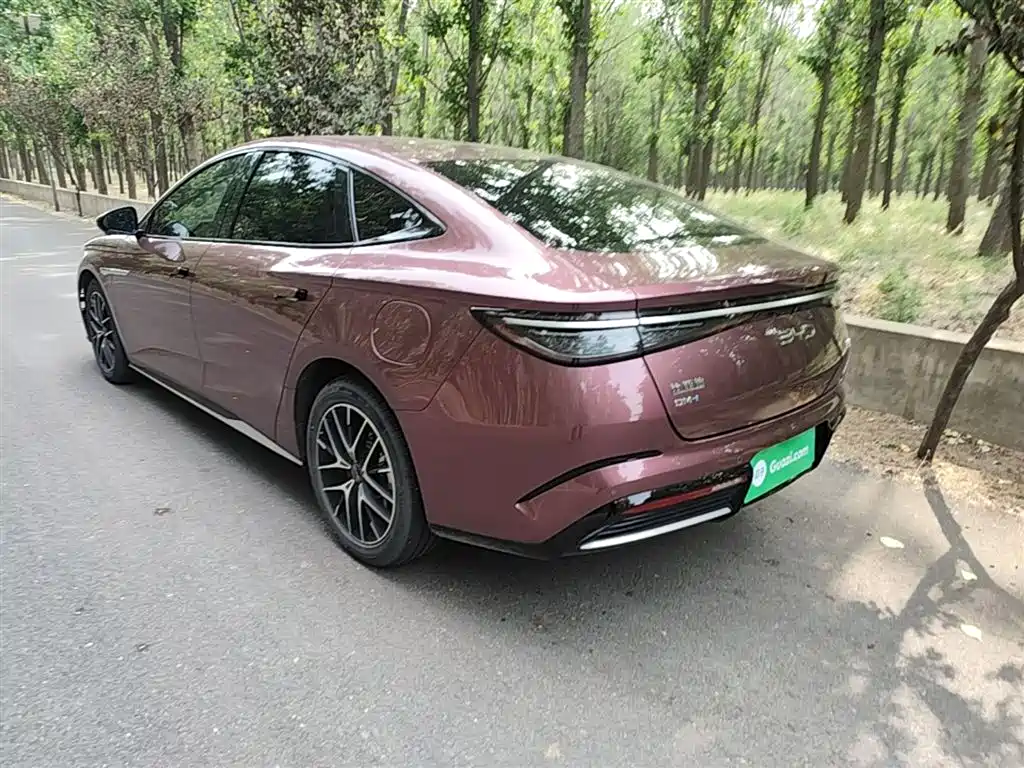 Seal DM-i 1.5 L 121 km Luxury