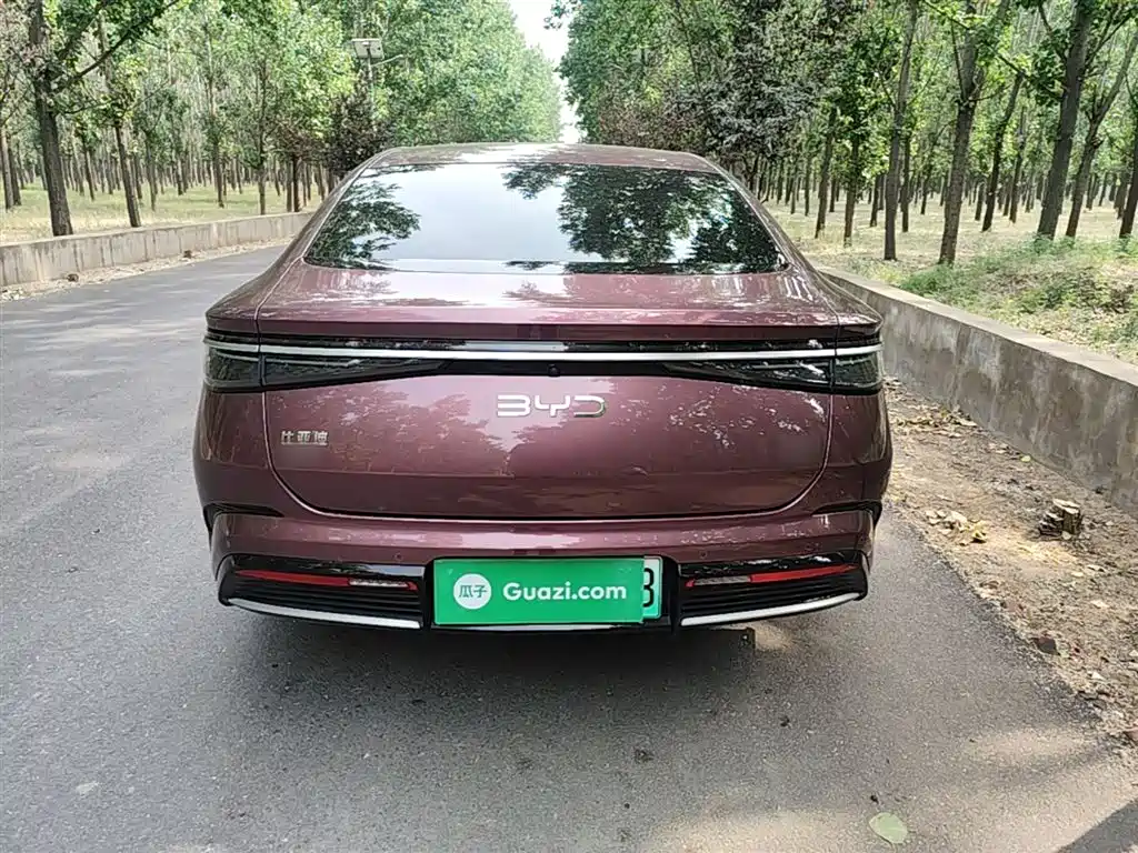 Seal DM-i 1.5 L 121 km Luxury