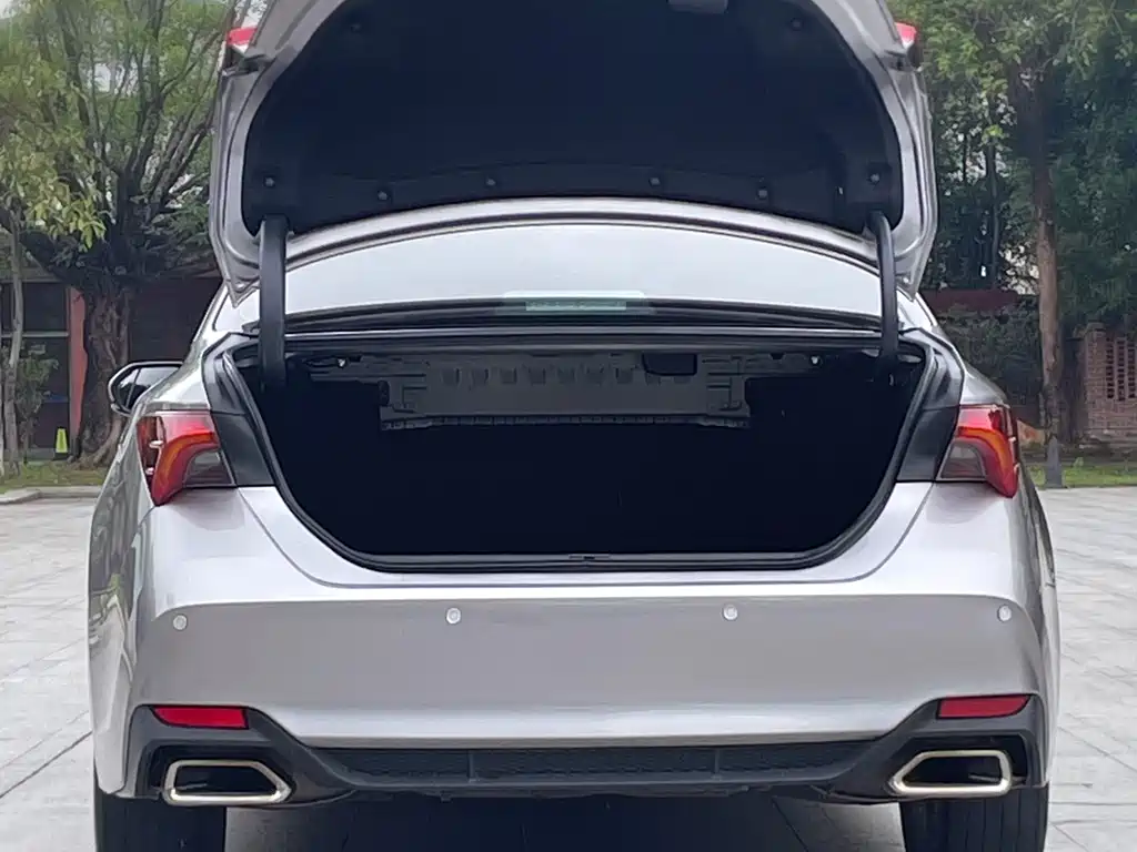 Avalon 2.0 L Luxury CN-VI