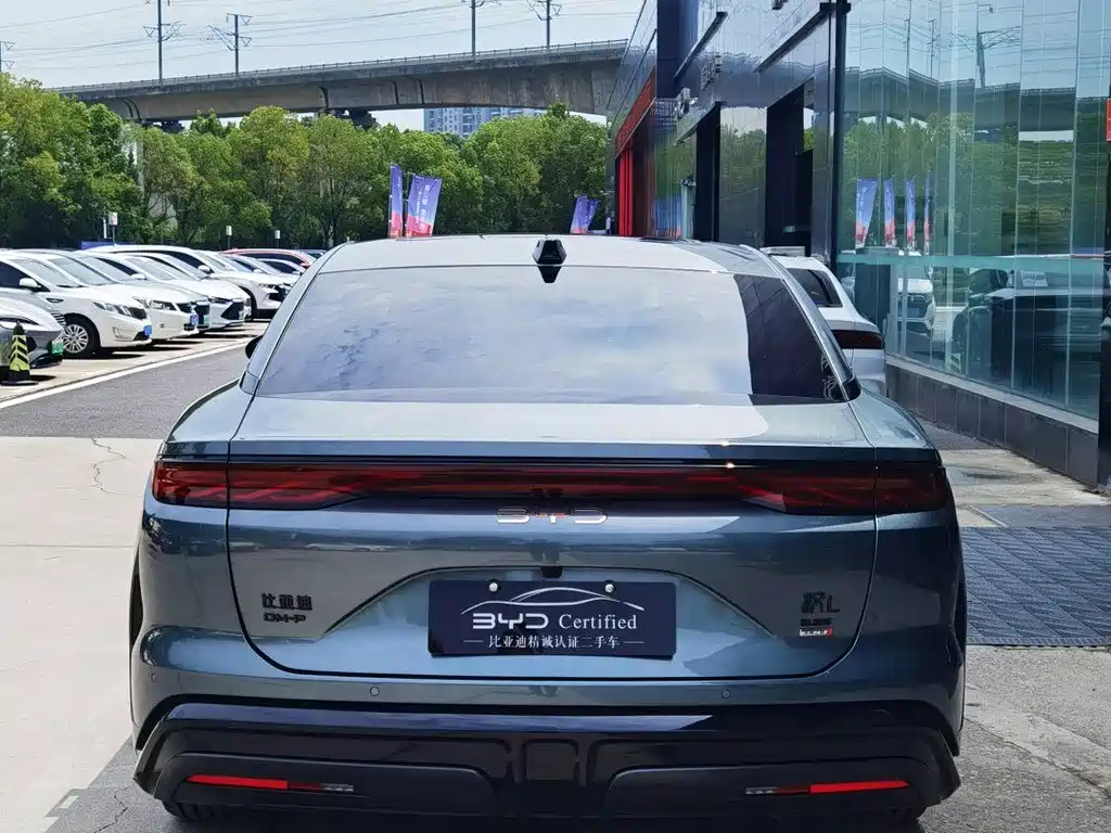 Han L DM-p 4 WD Lidar Flagship