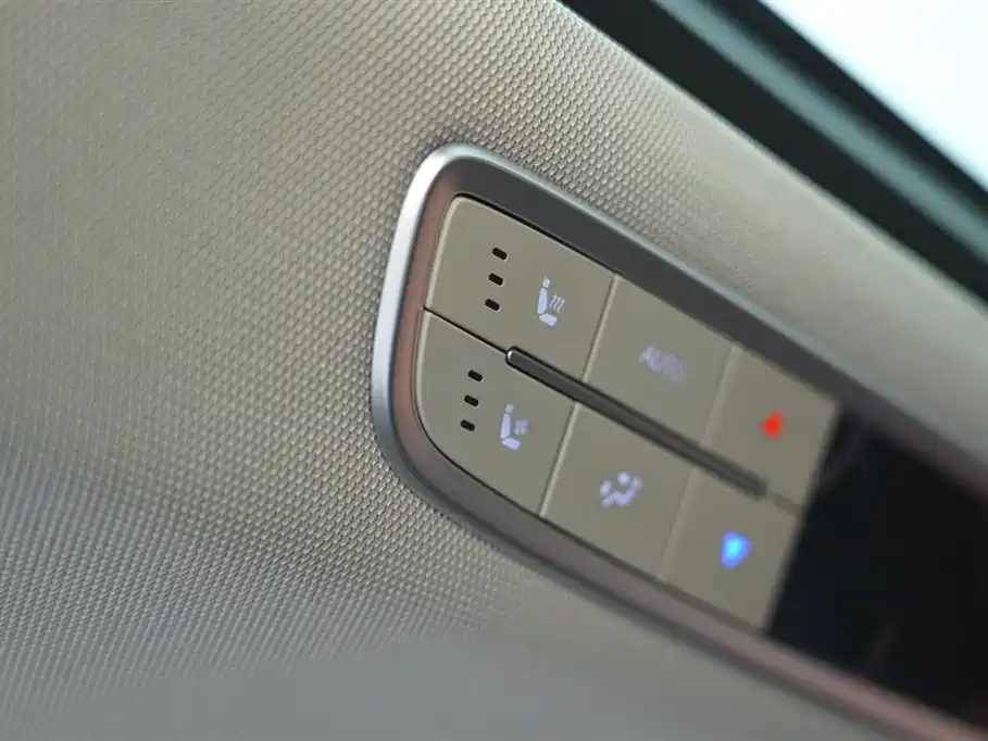 Hongqi HQ9 2.0 T Connected Flagship Enjoyment