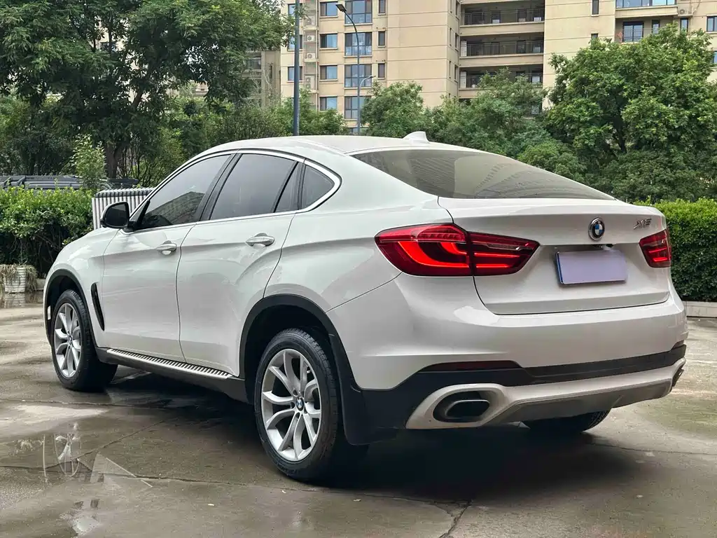 BMW X6 xDrive35 i Leading