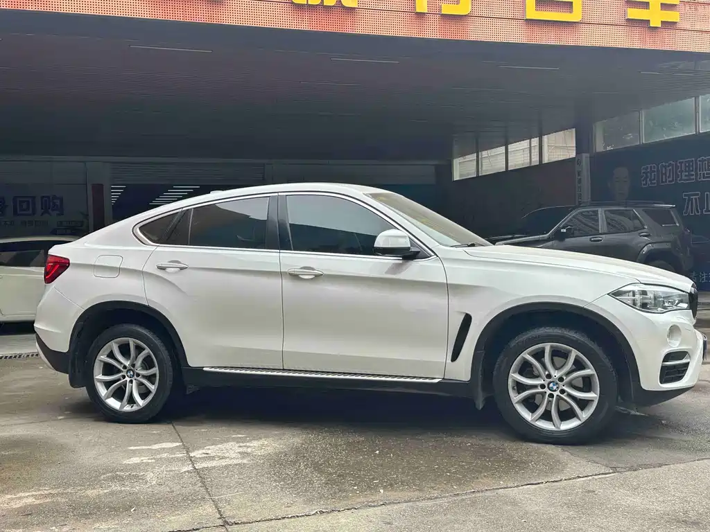 BMW X6 xDrive35 i Leading