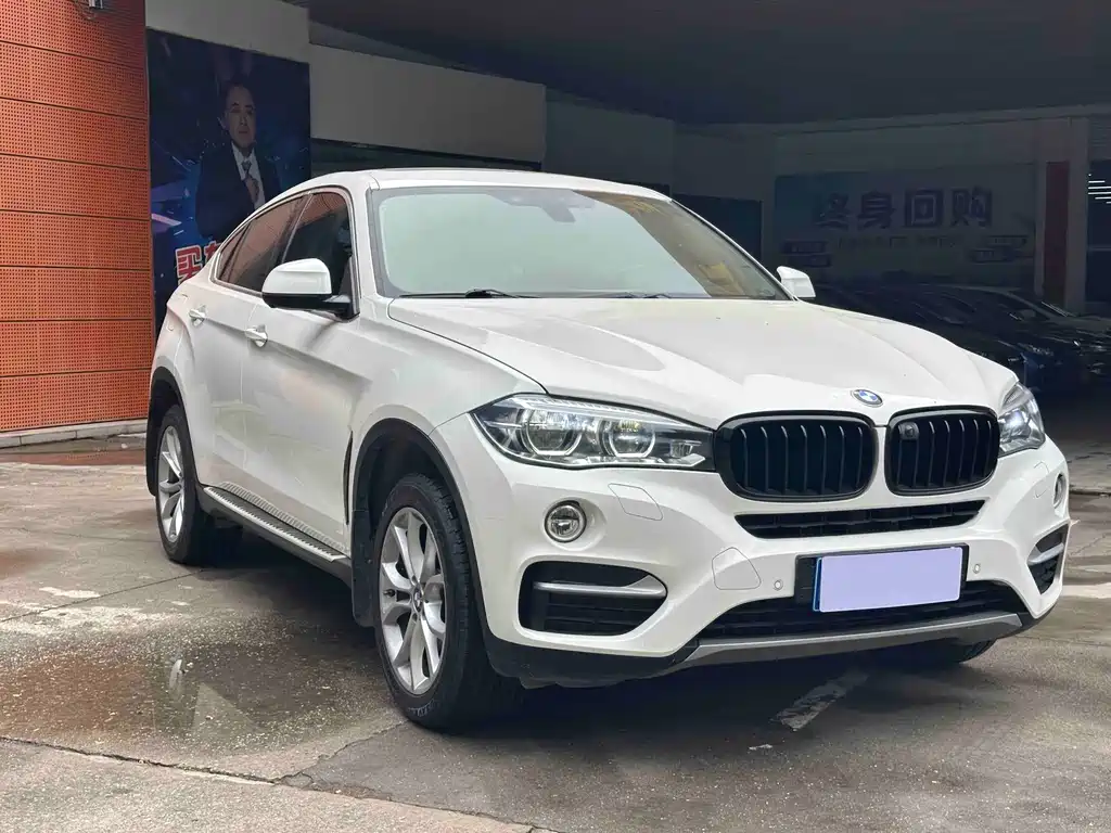 BMW X6 xDrive35 i Leading