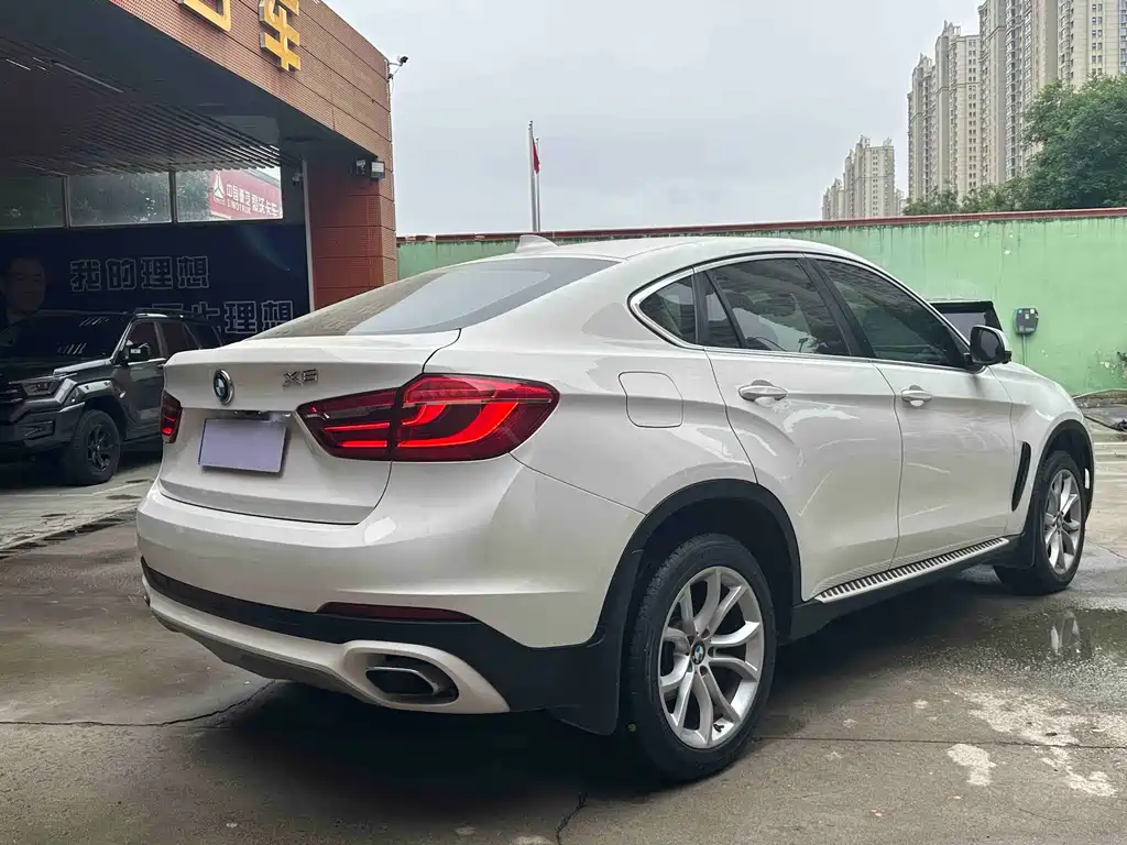 BMW X6 xDrive35 i Leading