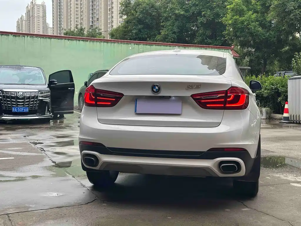 BMW X6 xDrive35 i Leading