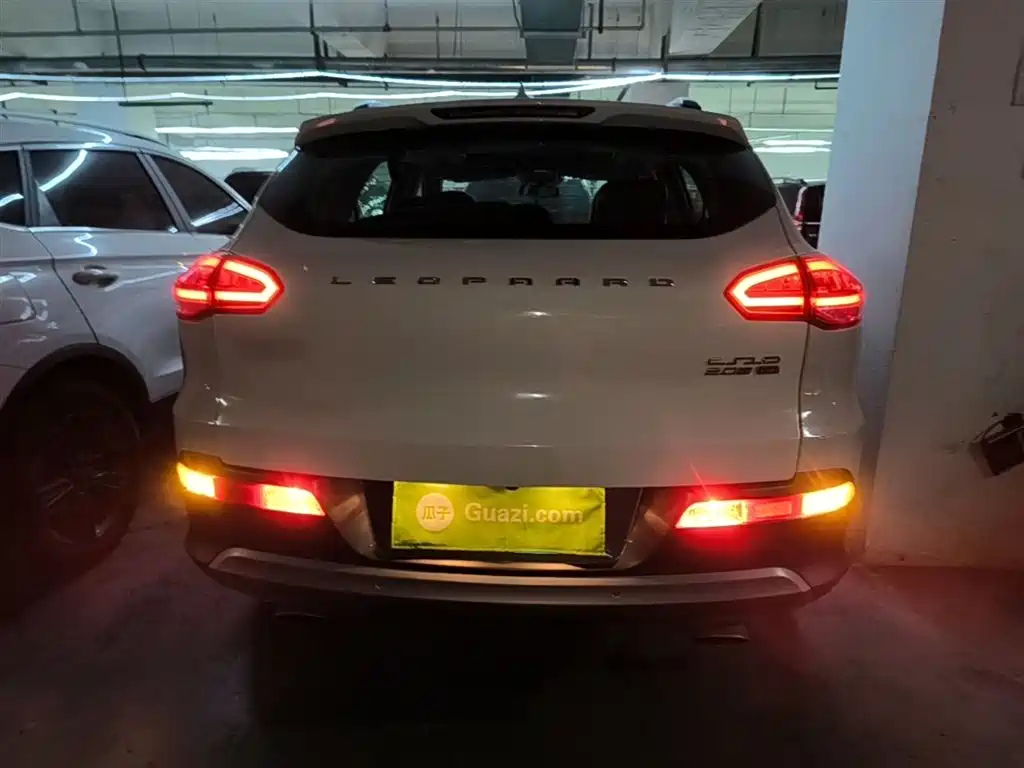 Leopaard CS10 2.0 T Auto Urban